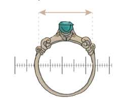 Measure inside diameter of an existing ring